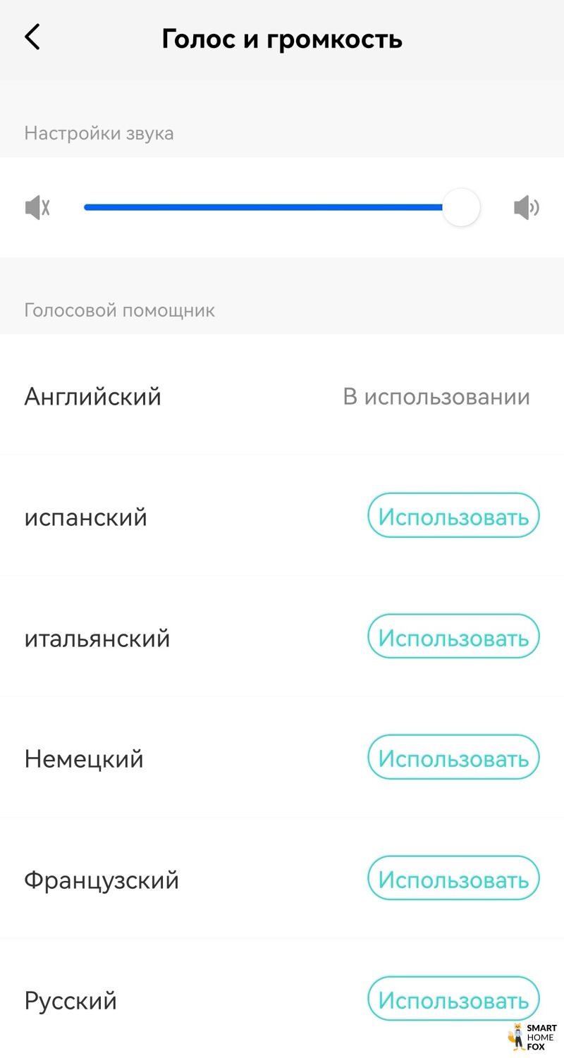 Выбор языка T10s